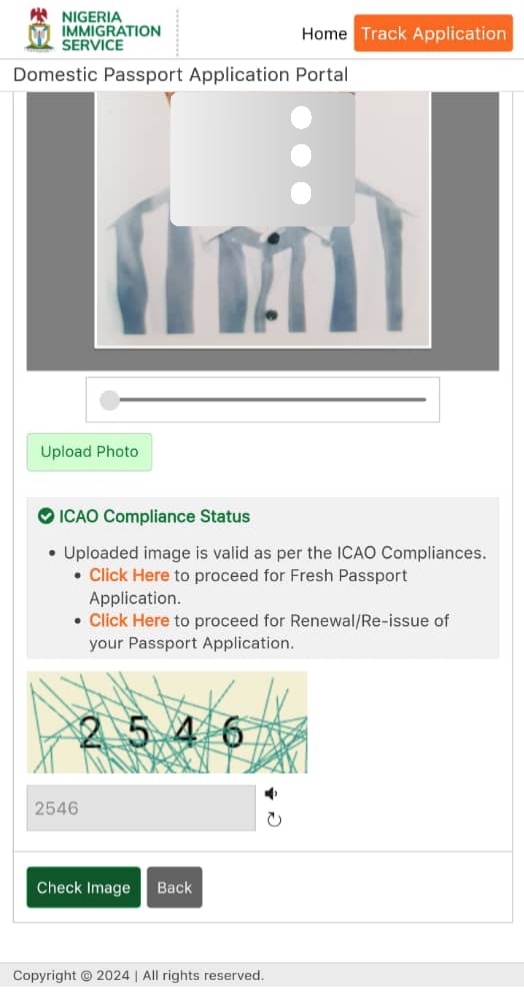 How I confirmed that my passport photos were valid as per the ICAO compliances.
